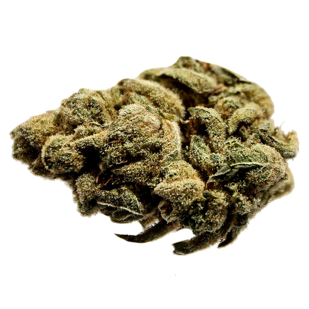 Potluck - Orange Layer Cake - Orange Layer Cake 7g Dried Flower